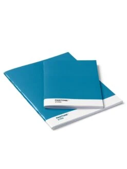 Pantone - 2 Pack Notebooks
