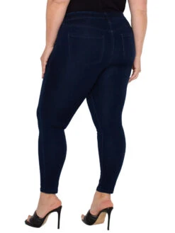 Liverpool - Gia Glider Ankle Skinny -Nic Zoe Fashion Store LY2367SFS DWS 4