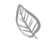 Nic Zoe Fashion Store -Nic Zoe Fashion Store z7178339925722 bec618ceccb12f89b9aa0a266cbd840a